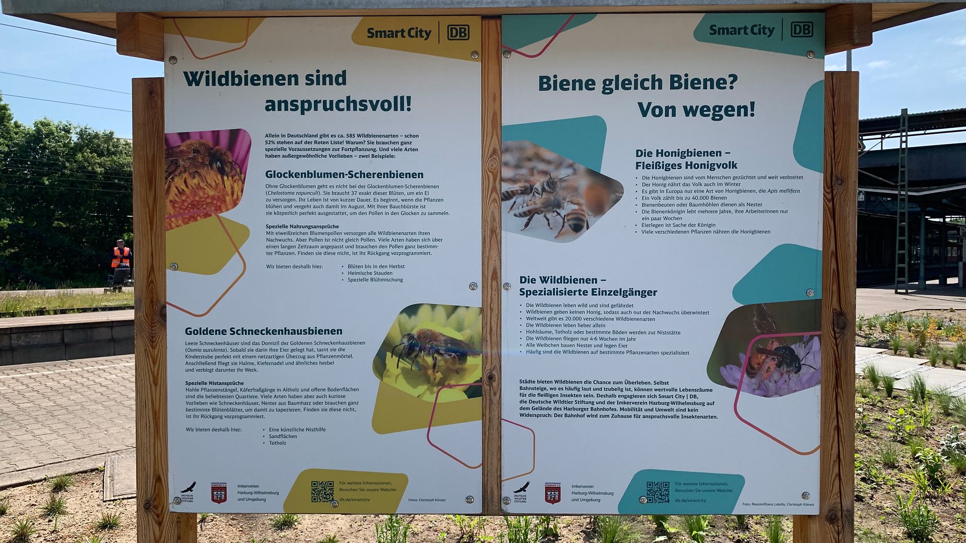 Eine Infotafel mit Bildern und Texten zum Thema Wildbienen