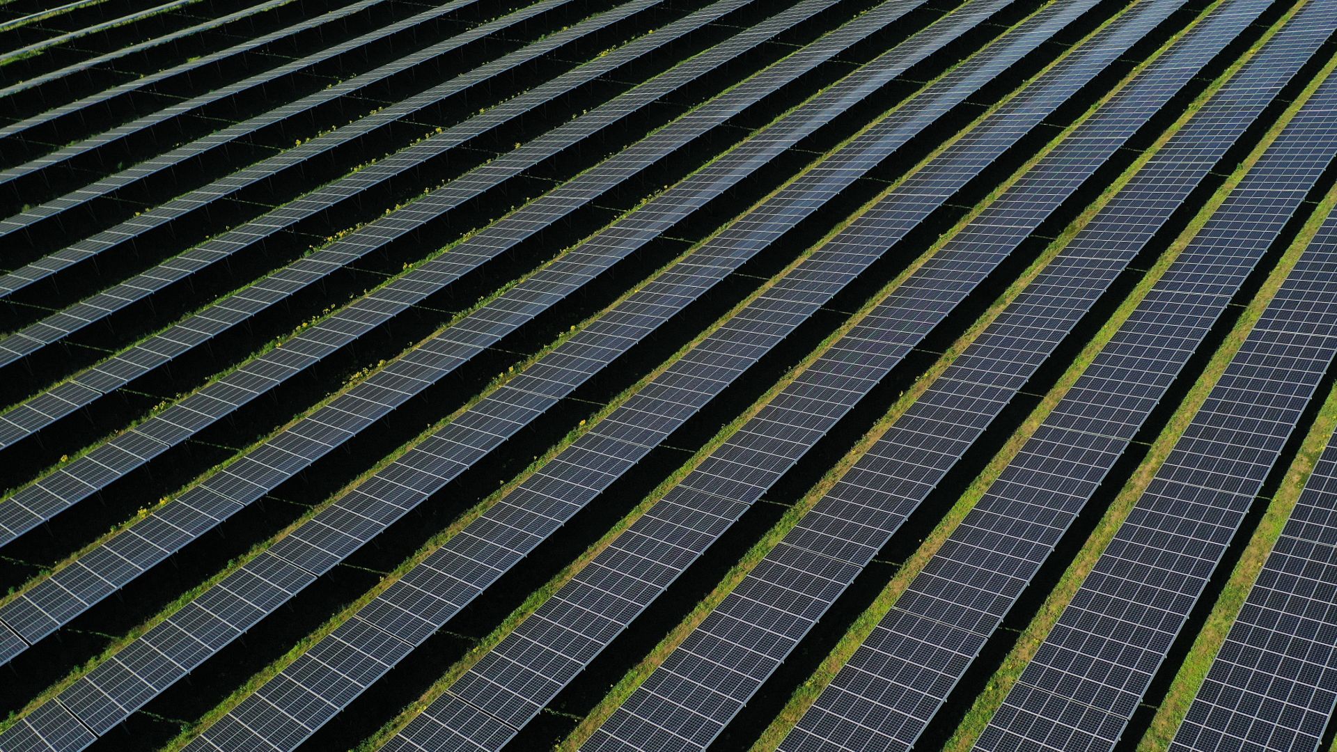 Luftaufnahme von den schwarzen Solarpanels der Photovoltaikanalage in Gaarz